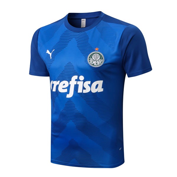 Entrenamiento Palmeiras 2022/23 Azul